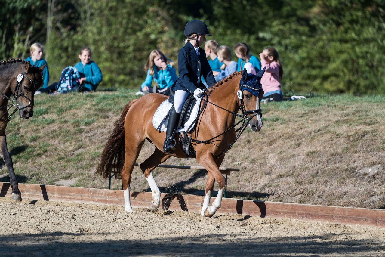 Bild 38 - Pony Akademie Turnier